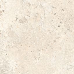 Rockies - Porcelain Beige Matte 24 x 24