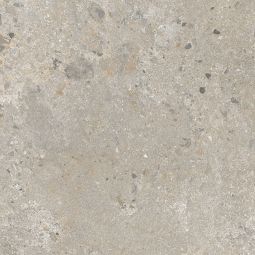 Rockies - Porcelain Grey Matte 24 x 24