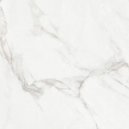 Roccia - Porcelain Calacatta Polished 24x 24