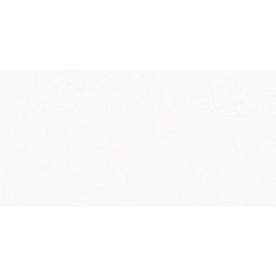 Studio 39 - Porcelain White Matte 12x 24