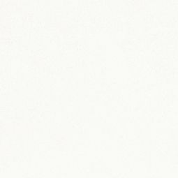 Studio 39 - Porcelain White Matte 24x 24