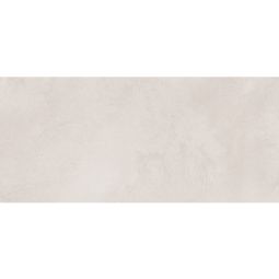 Trend - Porcelain White  12x 24