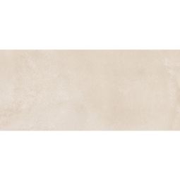 Trend - Porcelain  12x 24