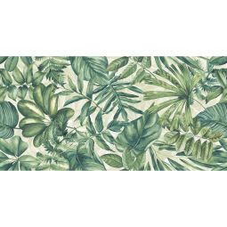 Wonderspace - Porcelain Polished 24x 48