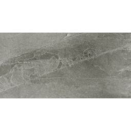 XRock - Porcelain Grey Matte 24x 48