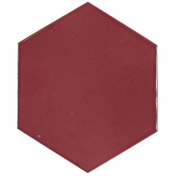 Zellige Hexa - Porcelain  4X 5